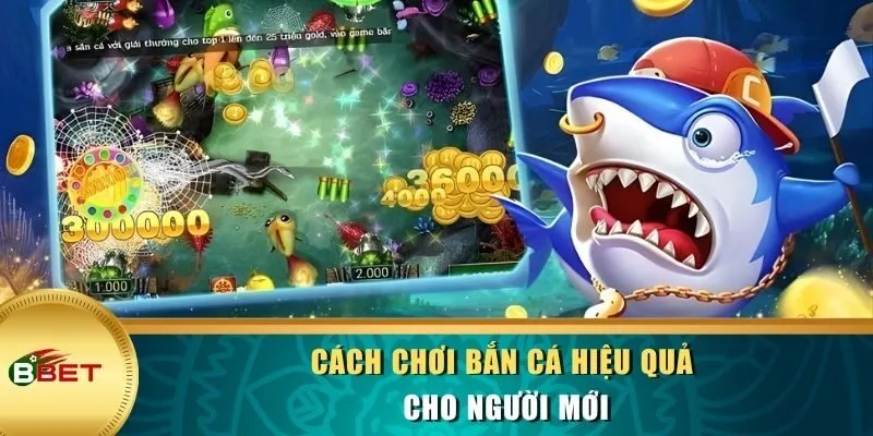 Cách chơi bắn cá hiệu quả cho người mới