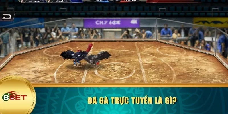 Đá gà trực tuyến là gì?