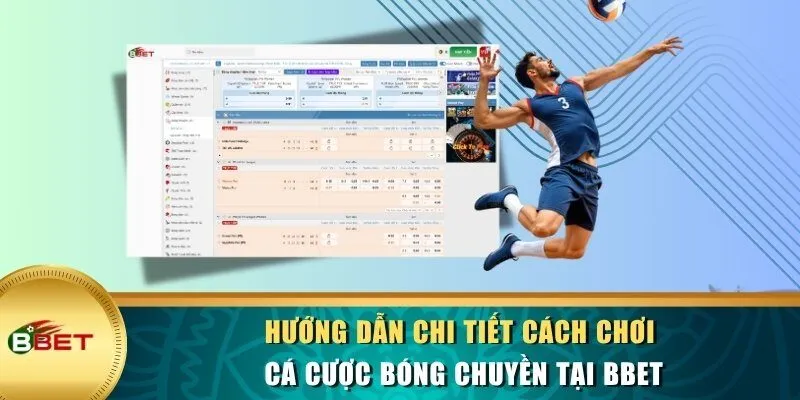 Hướng dẫn chi tiết cách chơi cá cược bóng chuyền tại BBET