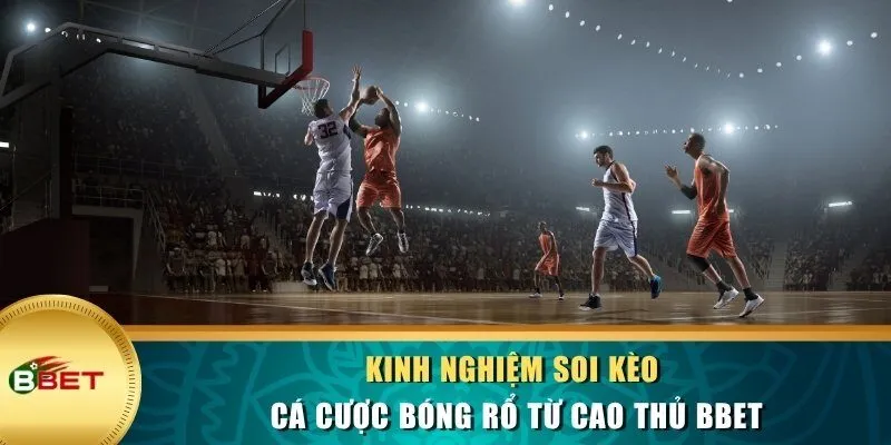 Kinh nghiệm soi kèo cá cược bóng rổ từ cao thủ BBET