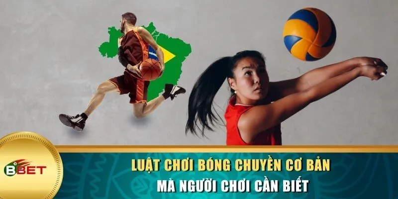 Luật chơi bóng chuyền cơ bản mà tân thủ cần nắm
