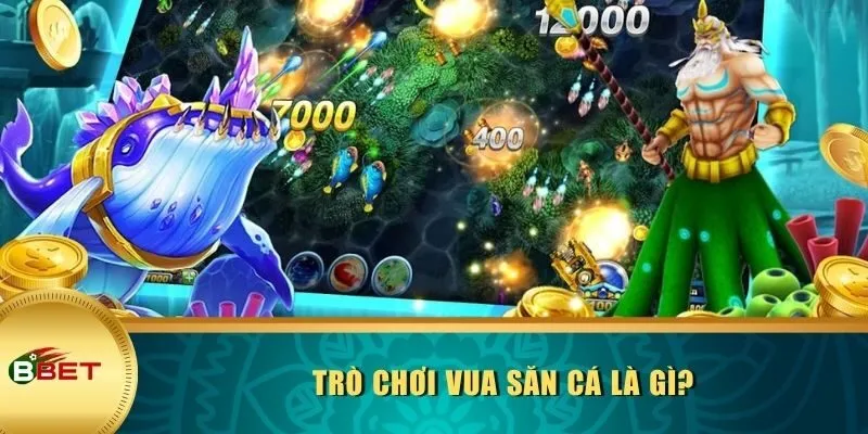 Trò chơi Vua Săn Cá là gì?
